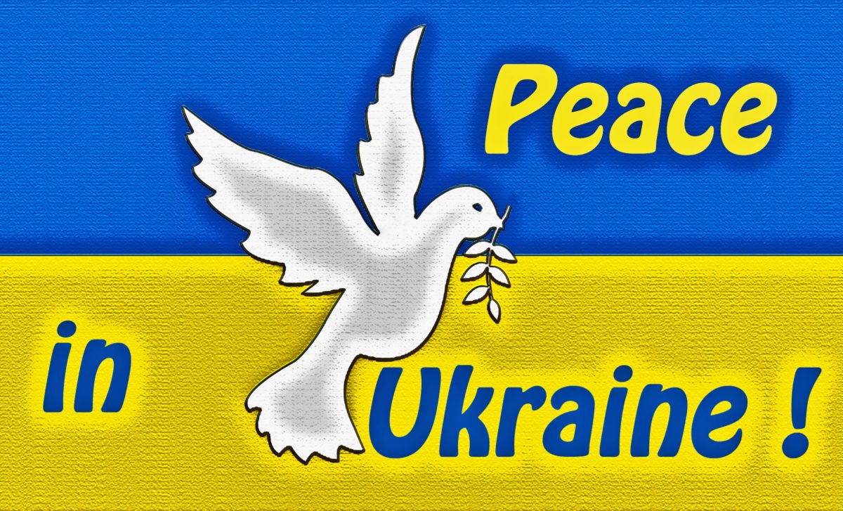 SV og krigen i Ukraina